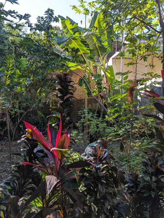 Agus Family Homestay Labuan Bajo Extérieur photo